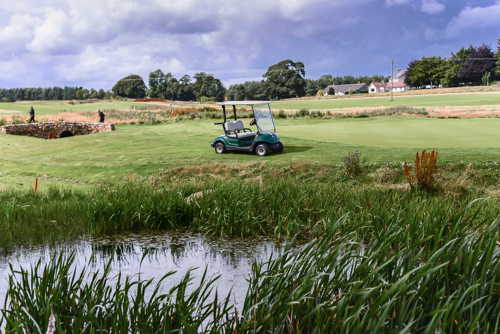 Course Gallery Elmwood Golf